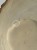 IMG_1098.jpeg